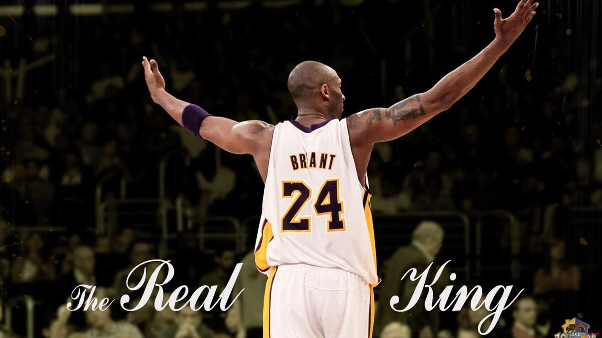 开云体育登录-爱德华兹扛起全队，雄鹿险胜爵士，一场关于坚韧与领袖的胜利